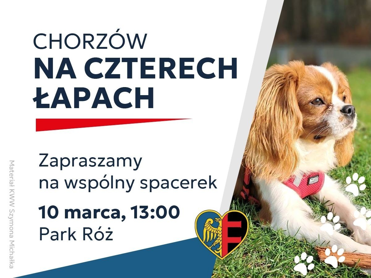 Chorzów na czterech łapach